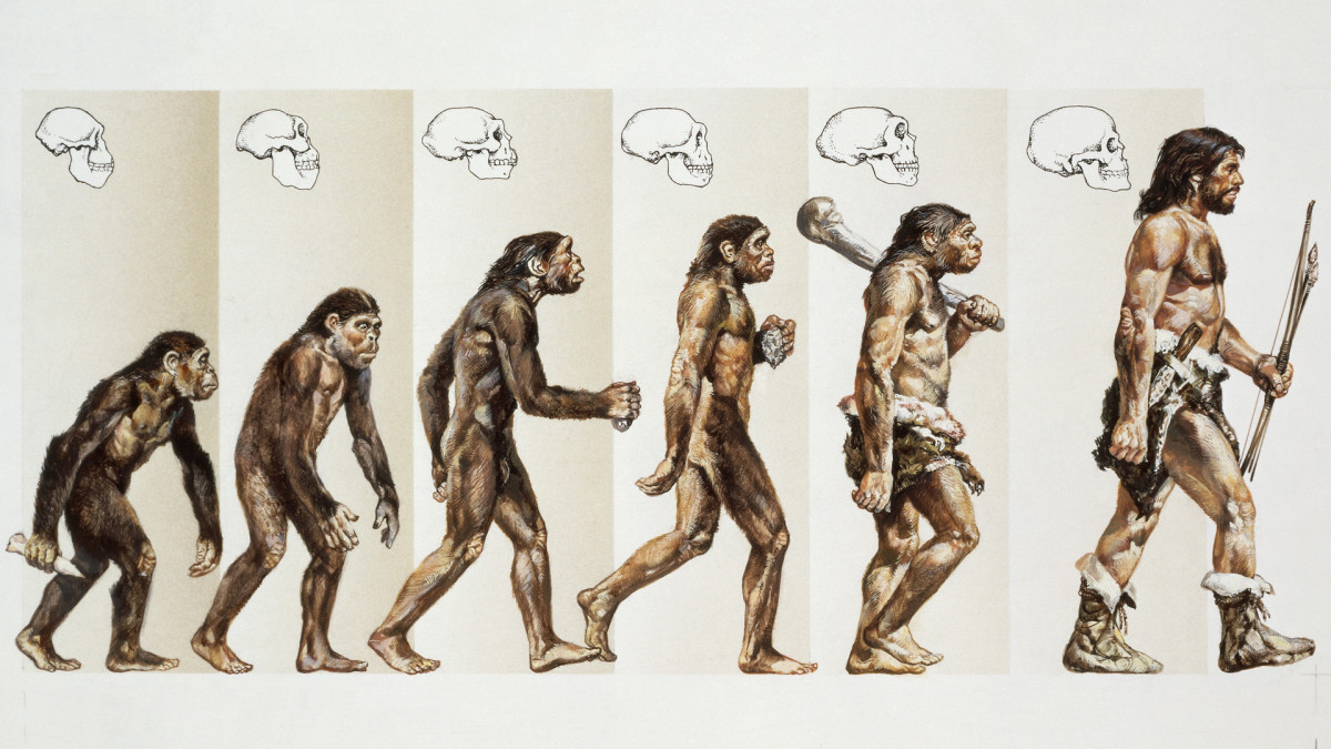 human-evolution-promo-gettyimages-122223741.jpg