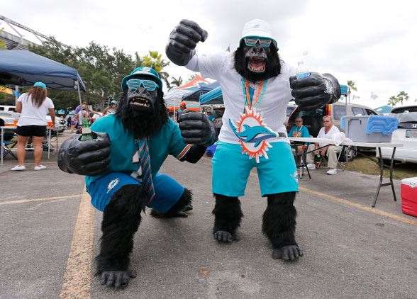 -crazy-nfl-fans-Miami-Gorillas.jpg